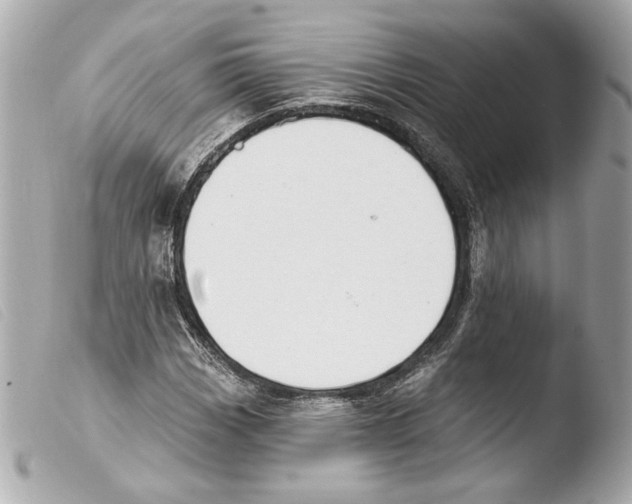 X0000103491113200810101016