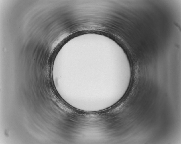 X0000103491114200810101016