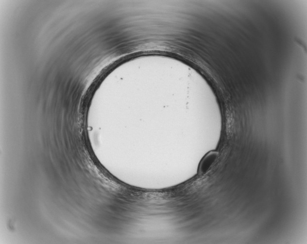 X0000103491116200810101016