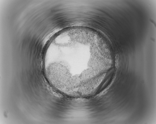 X0000103491117200810101016