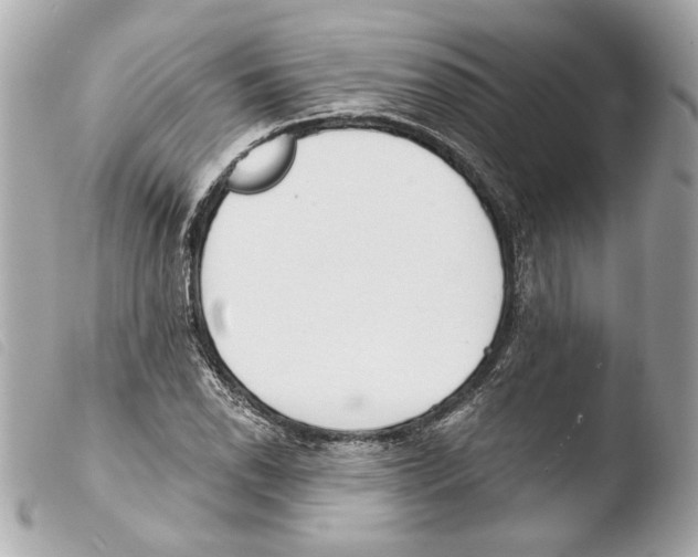 X0000103491118200810101016