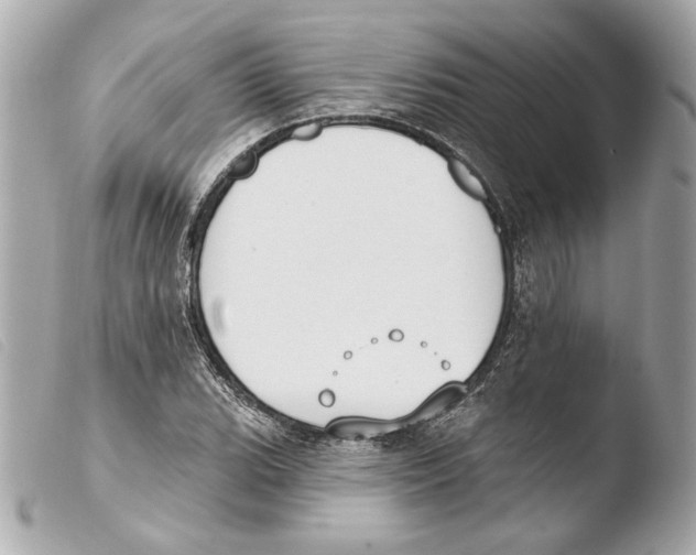 X0000103491119200810101016