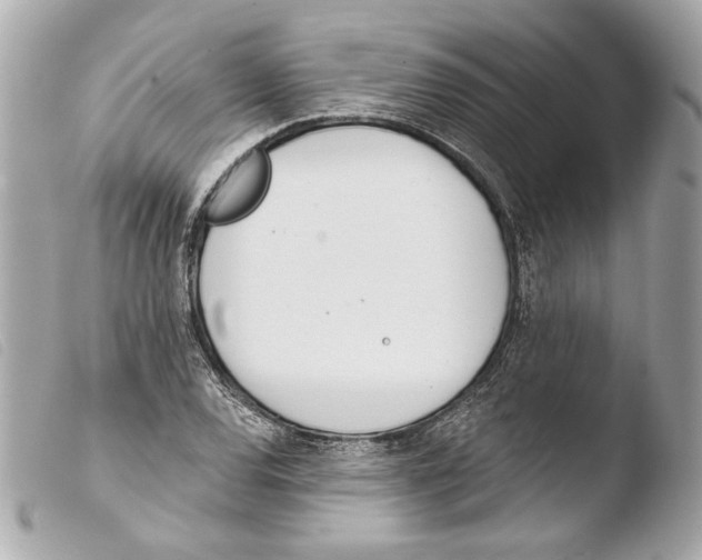 X0000103491120200810101016