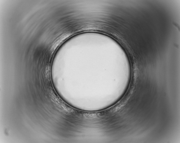 X0000103491121200810101016