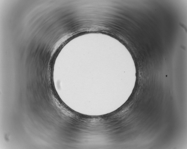 X0000103491122200810101016