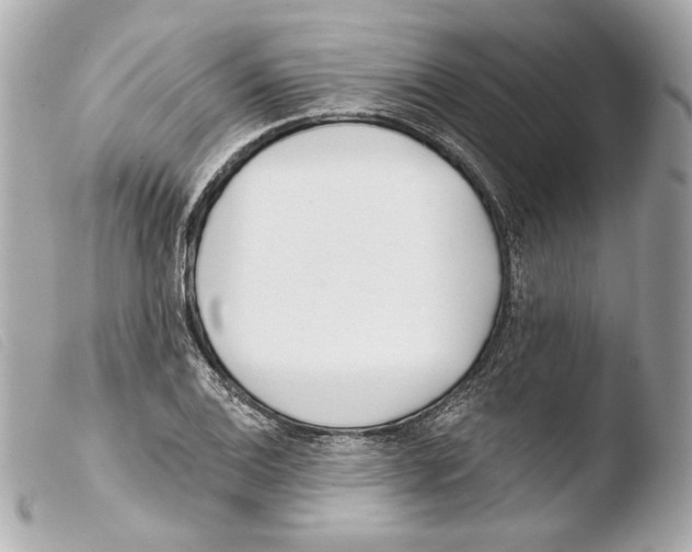 X0000103491124200810101016