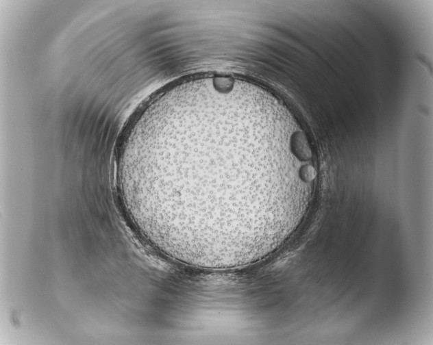 X0000103491125200810101016