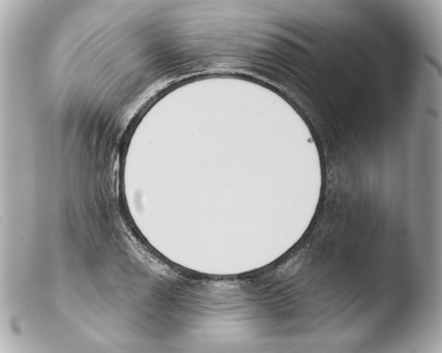 X0000103491126200810101016