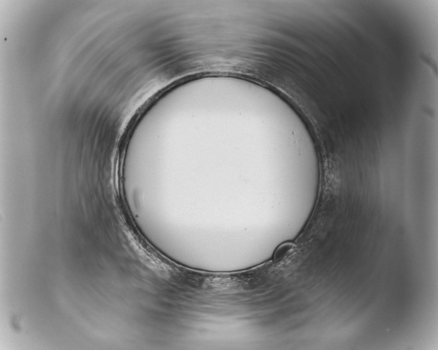 X0000103491128200810101016