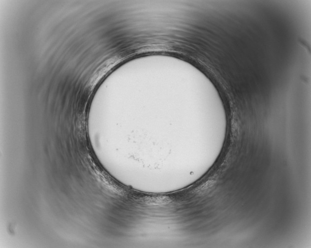 X0000103491129200810101016