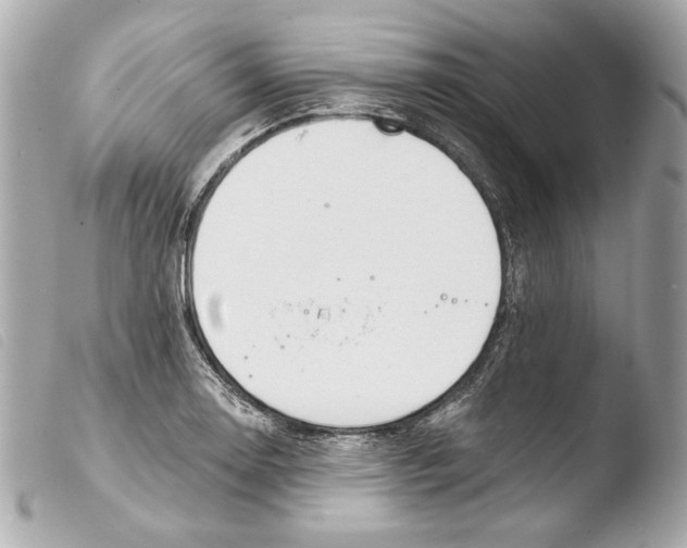 X0000103491130200810101016