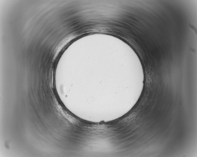 X0000103491131200810101016