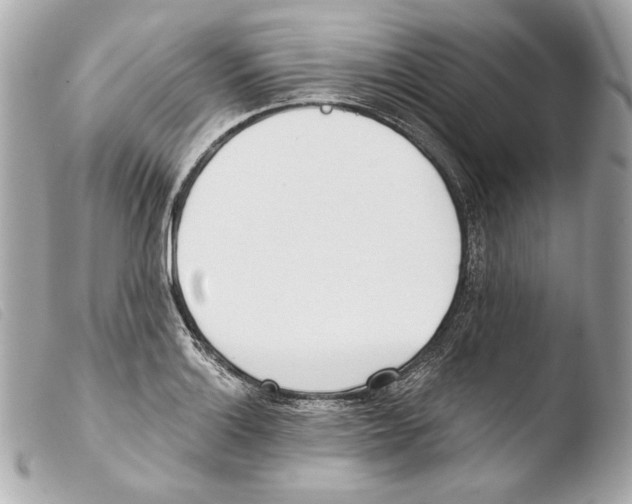 X0000103491132200810101016