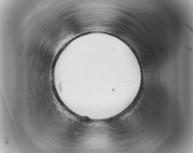 X0000103491133200810101016