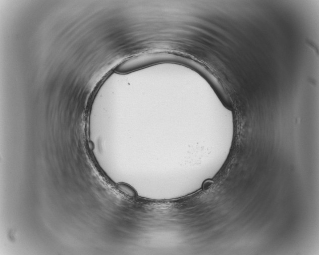 X0000103491134200810101016