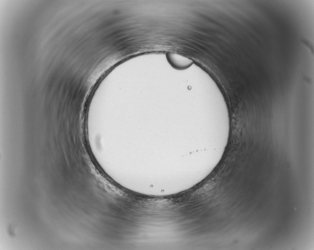 X0000103491135200810101016