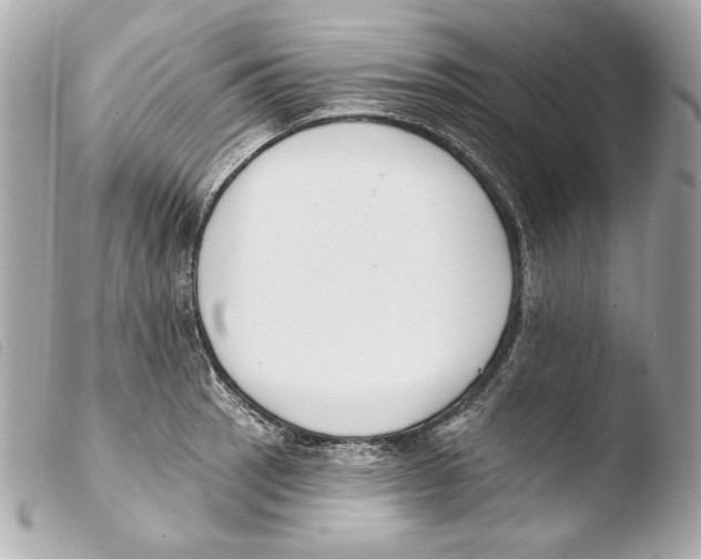 X0000103491137200810101016