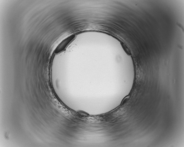 X0000103491138200810101016