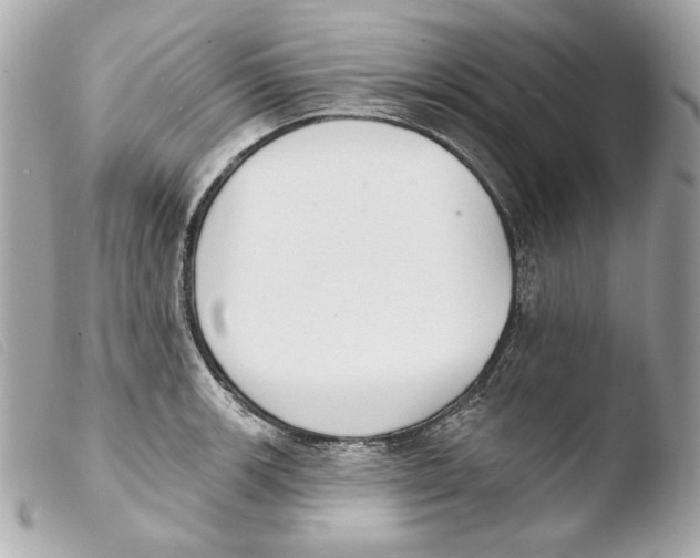 X0000103491139200810101016