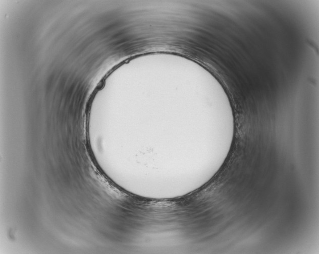 X0000103491140200810101016