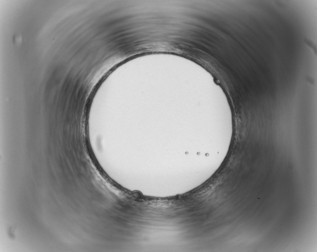 X0000103491141200810101016