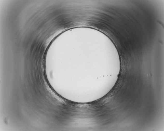 X0000103491142200810101016