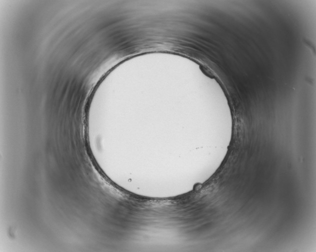 X0000103491143200810101016