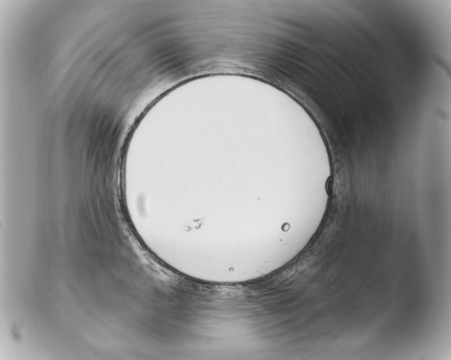 X0000103491144200810101016