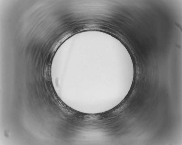 X0000103491145200810101016