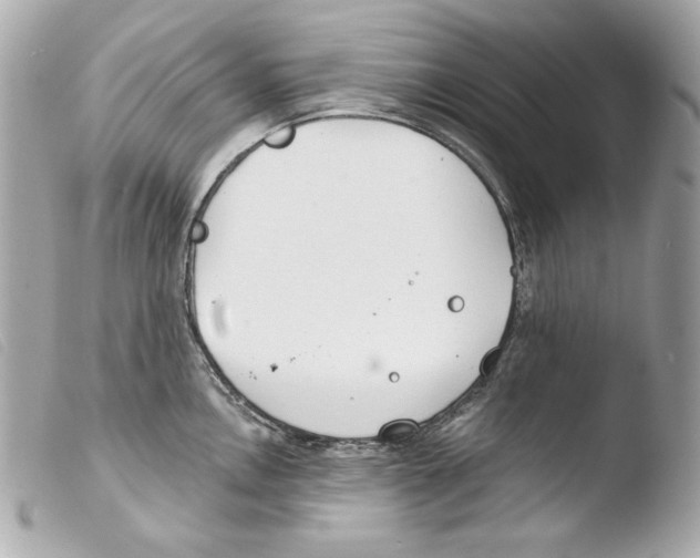 X0000103491146200810101016