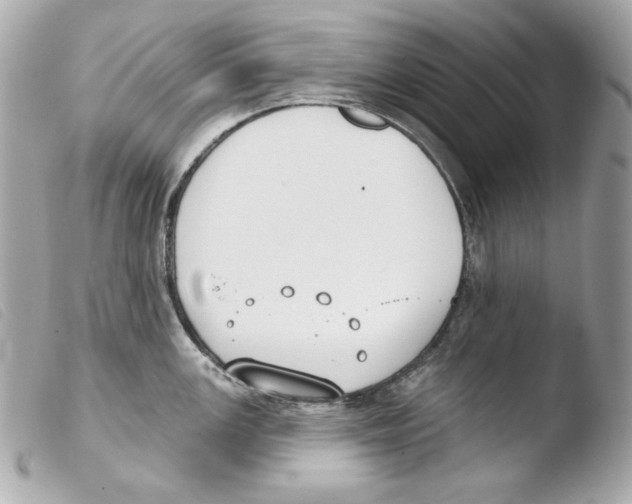 X0000103491147200810101016