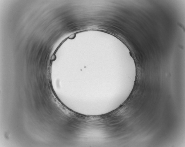 X0000103491148200810101016