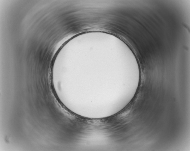 X0000103491149200810101016