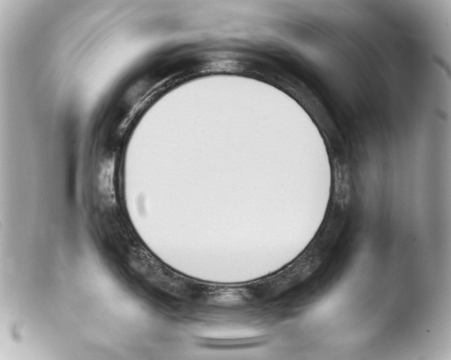 X0000103491150200810101016