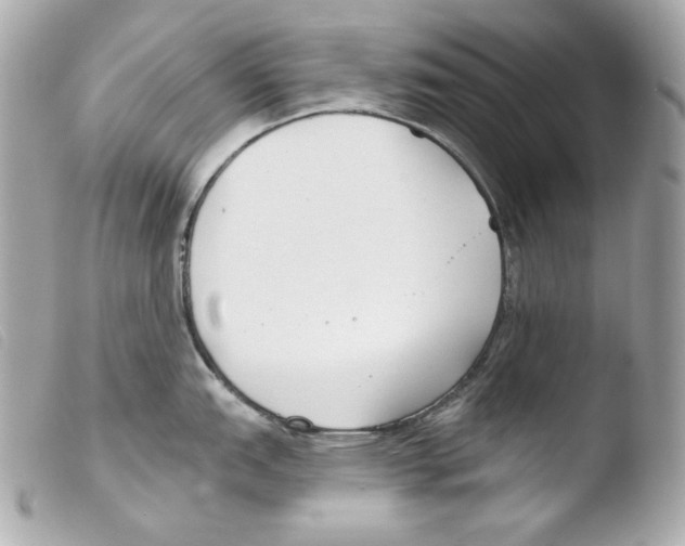 X0000103491151200810101016