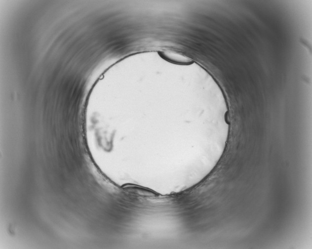 X0000103491152200810101016