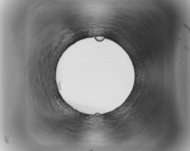 X0000103491153200810101016