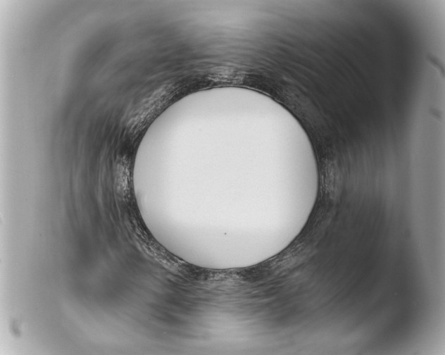 X0000103491154200810101016