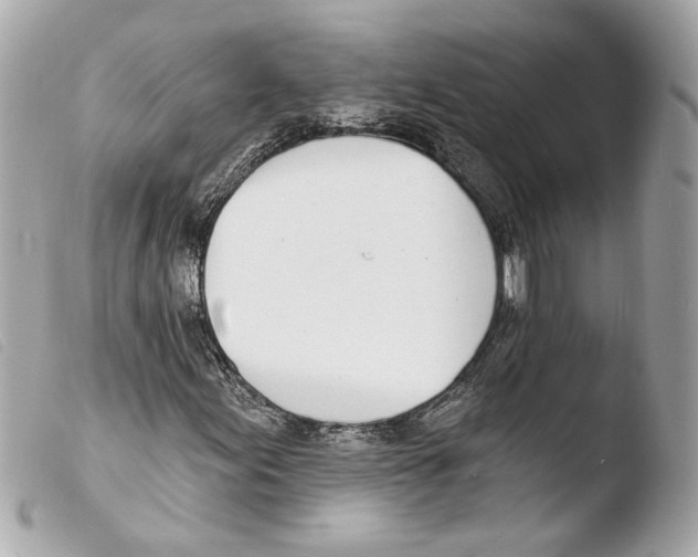 X0000103491155200810101016