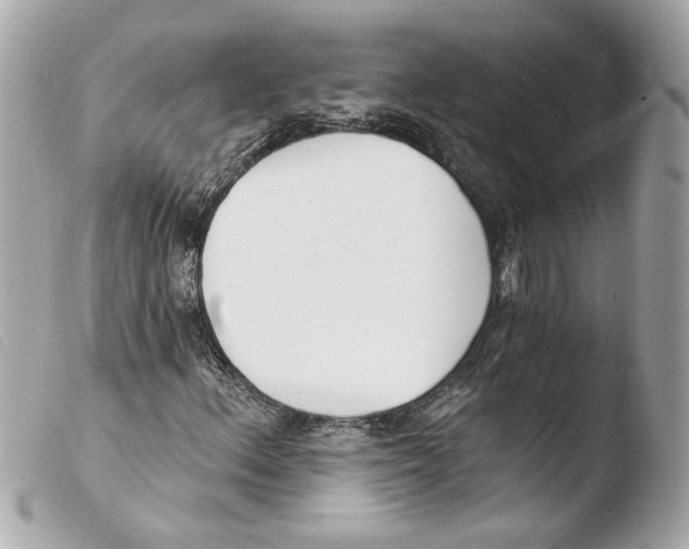 X0000103491156200810101015