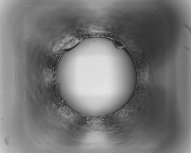 X0000103491157200810101015