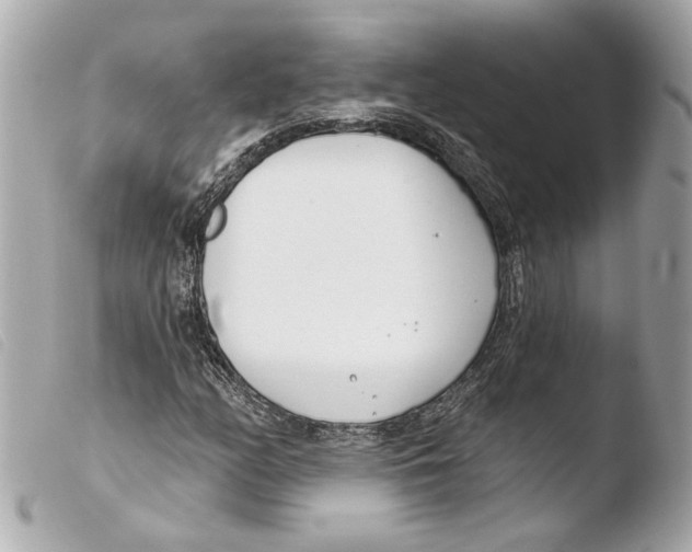 X0000103491158200810101015