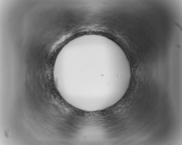 X0000103491159200810101015