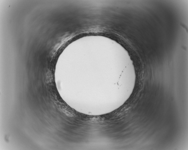 X0000103491160200810101015