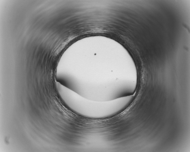 X0000103491161200810101015