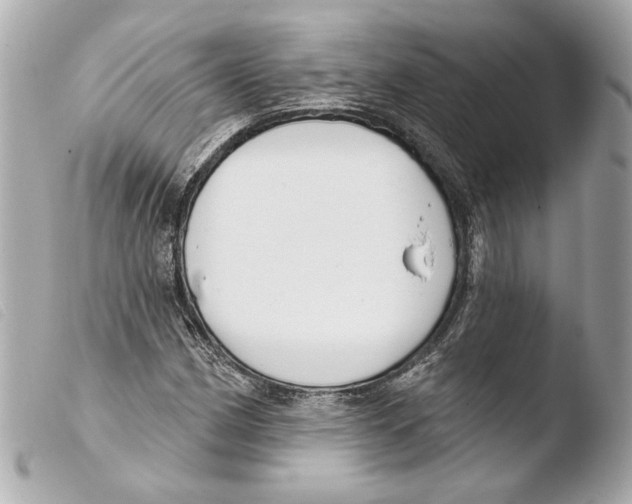 X0000103491162200810101015