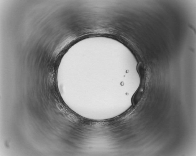 X0000103491163200810101015