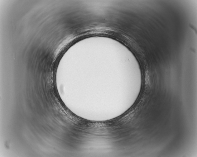 X0000103491164200810101015