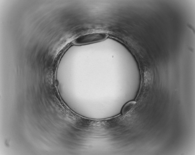 X0000103491165200810101015