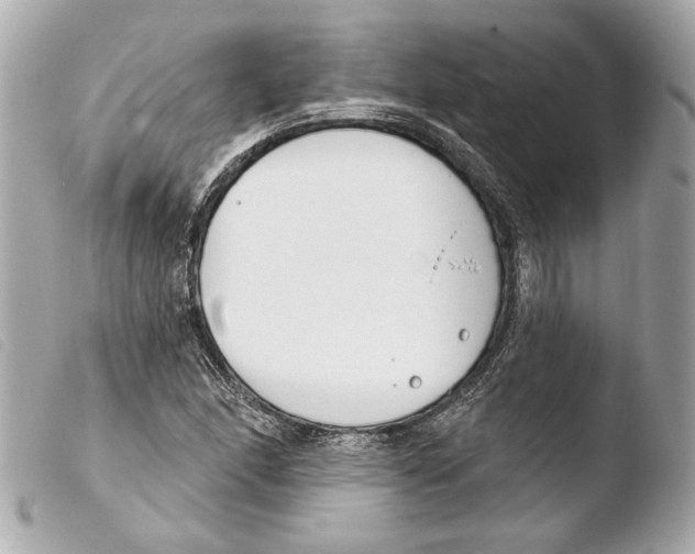 X0000103491166200810101015